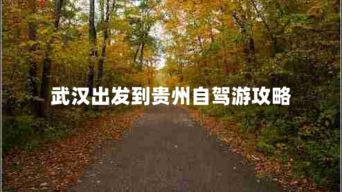 武漢出發(fā)到貴州自駕游攻略