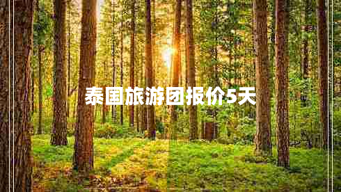 泰國(guó)旅游團(tuán)報(bào)價(jià)5天