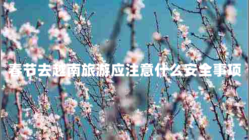 春節(jié)去越南旅游應(yīng)注意什么安全事項(xiàng)