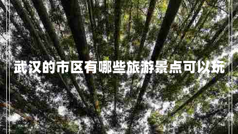 武漢的市區(qū)有哪些旅游景點可以玩