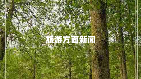 旅游方面新聞
