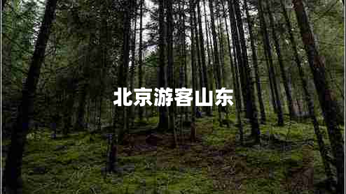 北京游客山東