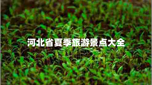 河北省夏季旅游景點(diǎn)大全