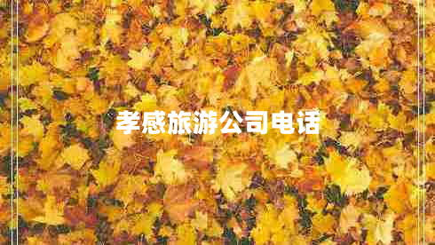 孝感旅游公司電話