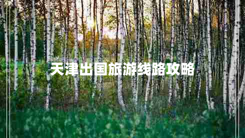 天津出國(guó)旅游線路攻略