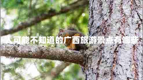人可能不知道的廣西旅游景點(diǎn)有哪些 人可能不知道的廣西旅游景點(diǎn)有哪些