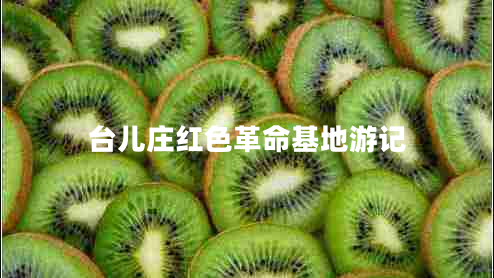 臺(tái)兒莊紅色革命基地游記