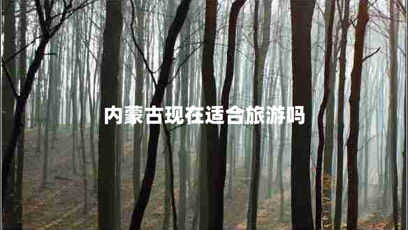 內(nèi)蒙古現(xiàn)在適合旅游嗎 內(nèi)蒙古現(xiàn)在適合旅游嗎