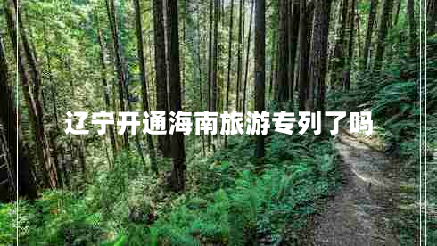 遼寧開通海南旅游專列了嗎 遼寧開通海南旅游專列了嗎