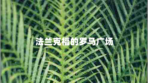 法蘭克福的羅馬廣場