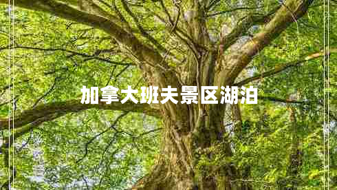 加拿大班夫景區(qū)湖泊 加拿大班夫景區(qū)湖泊