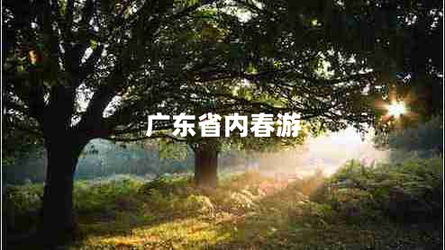 廣東省內(nèi)春游