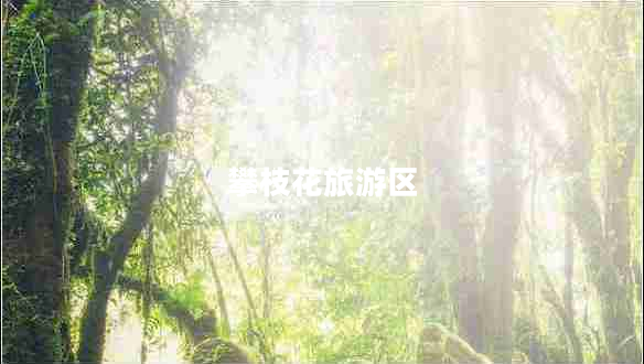 攀枝花旅游區(qū)