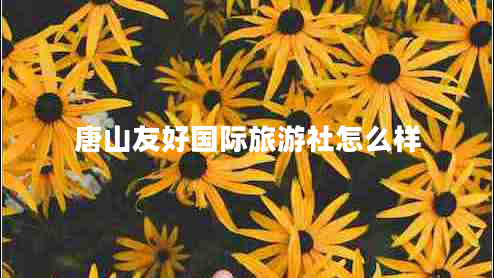 唐山友好國(guó)際旅游社怎么樣