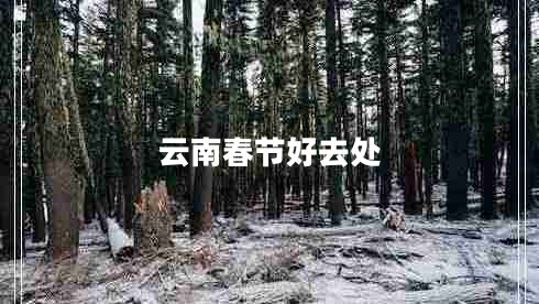 云南春節(jié)好去處