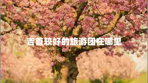 吉首較好的旅游團在哪里