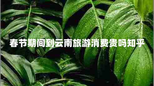 春節(jié)期間到云南旅游消費(fèi)貴嗎知乎