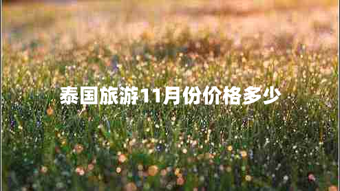 泰國(guó)旅游11月份價(jià)格多少 泰國(guó)旅游11月份價(jià)格多少