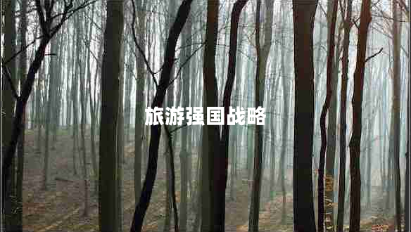 旅游強(qiáng)國(guó)戰(zhàn)略