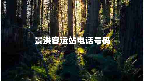 景洪客運(yùn)站電話號(hào)碼