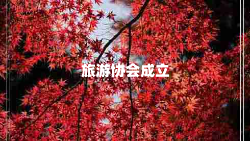 旅游協(xié)會成立 旅游協(xié)會成立