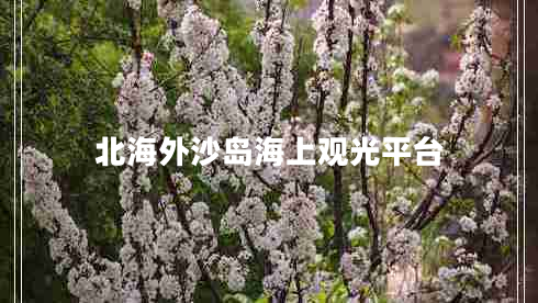 北海外沙島海上觀光平臺 北海外沙島海上觀光平臺
