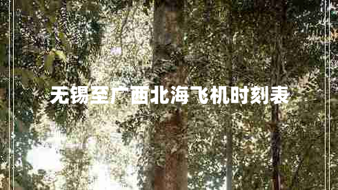 無錫至廣西北海飛機(jī)時(shí)刻表
