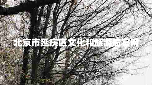 北京市延慶區(qū)文化和旅游局官網(wǎng)
