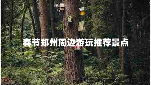 春節(jié)鄭州周邊游玩推薦景點 春節(jié)鄭州周邊游玩推薦景點
