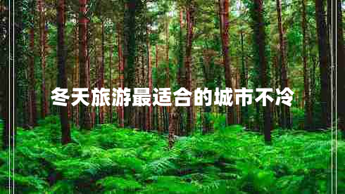 冬天旅游最適合的城市不冷 冬天旅游最適合的城市不冷