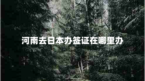 河南去日本辦簽證在哪里辦 河南去日本辦簽證在哪里辦