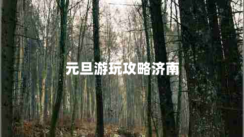 元旦游玩攻略濟南 元旦游玩攻略濟南