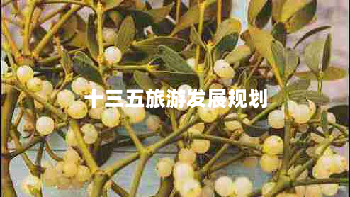 十三五旅游發(fā)展規(guī)劃 十三五旅游發(fā)展規(guī)劃