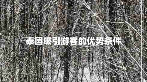 泰國吸引游客的優(yōu)勢條件