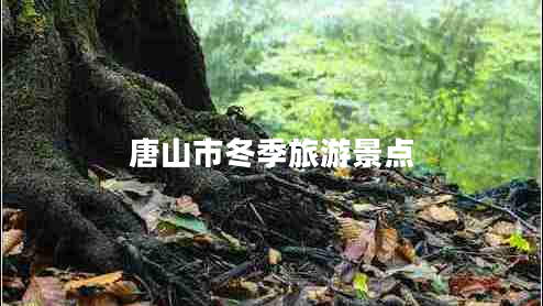 唐山市冬季旅游景點 唐山市冬季旅游景點