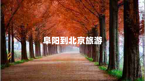 阜陽(yáng)到北京旅游