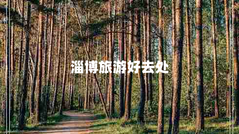 淄博旅游好去處