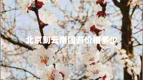 北京到云南團(tuán)游價(jià)格多少