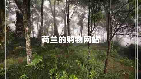 荷蘭的購(gòu)物網(wǎng)站