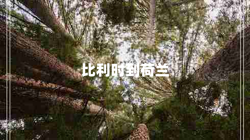 比利時(shí)到荷蘭