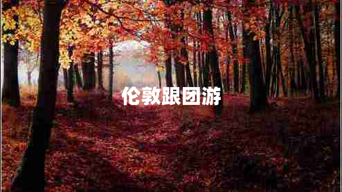 倫敦跟團(tuán)游