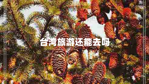 臺(tái)灣旅游還能去嗎 臺(tái)灣旅游還能去嗎