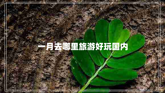 一月去哪里旅游好玩國內(nèi)
