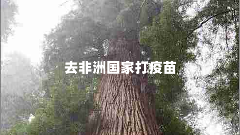 去非洲國(guó)家打疫苗