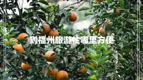到福州旅游住哪里方便 到福州旅游住哪里方便