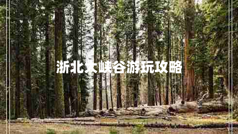 浙北大峽谷游玩攻略