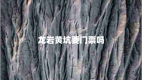 龍巖黃坑要門票嗎