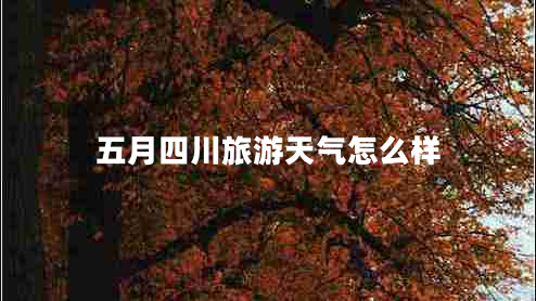 五月四川旅游天氣怎么樣