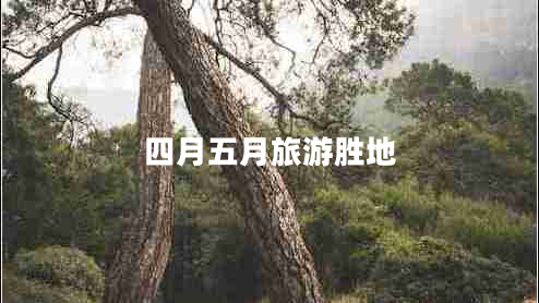 四月五月旅游勝地