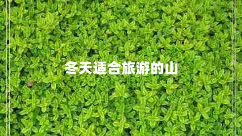 冬天適合旅游的山 冬天適合旅游的山